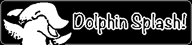 Dolphin Splash!
